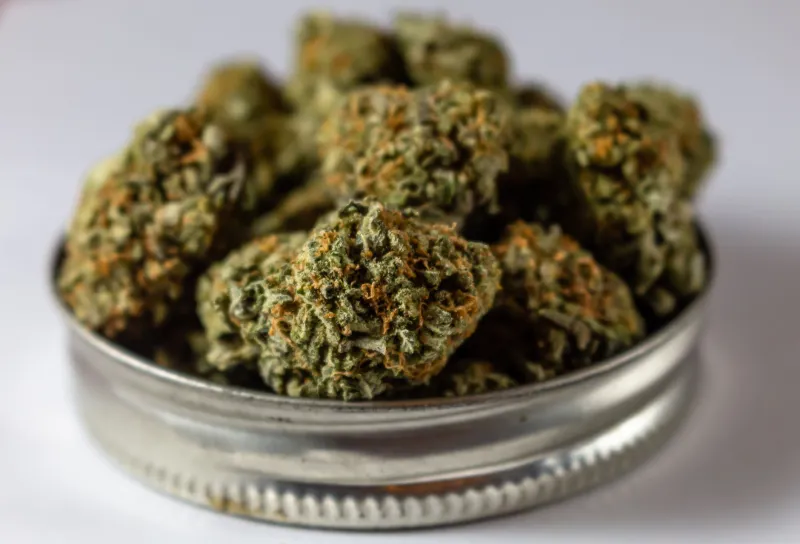Labels Don't Lie: How to Use Cannabinoid Ratios to Shop Smarter