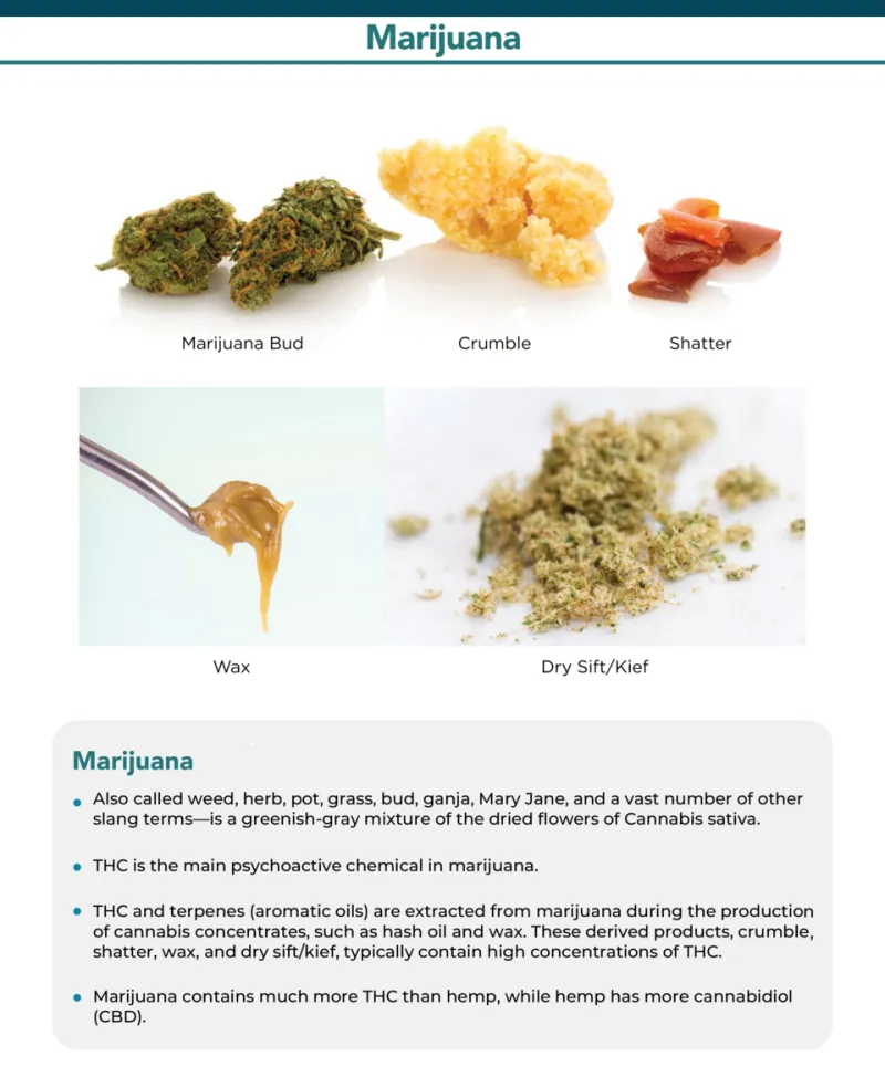 Sip, Swirl, Inhale: How to Read Your Weed's Flavor Like a Pro