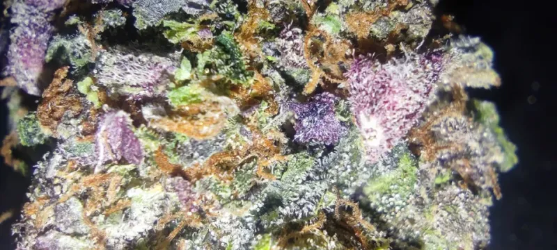 What You Store Your Weed In Is Slowly Killing It — Here's What to Use Instead
