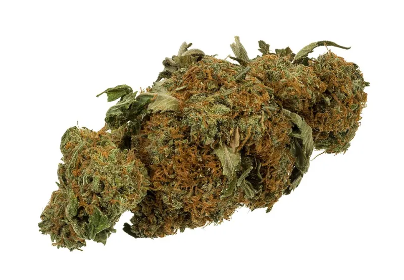 Does Weed Actually Work Better Together? The Science Behind the Entourage Effect