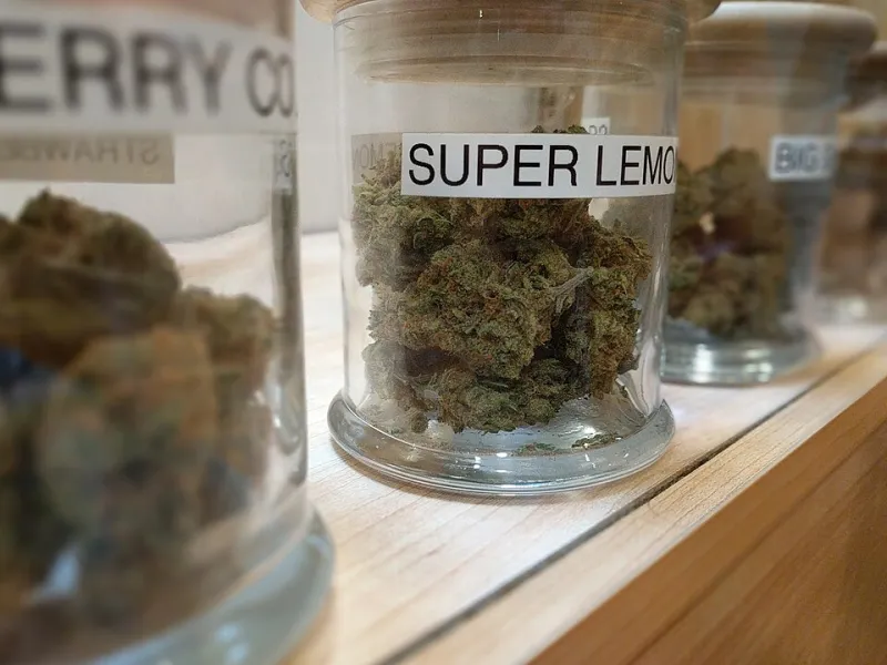 Not All Green Is Good: How to Tell If What You're Buying Is the Real Deal