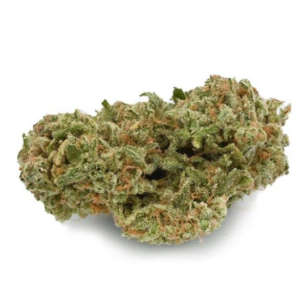 Nuken Strain for sale online