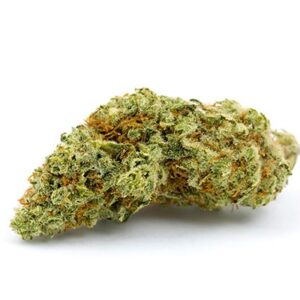 buy Alaskan Thunder Fuck strain