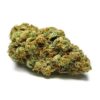 Sherbert strain for sale online