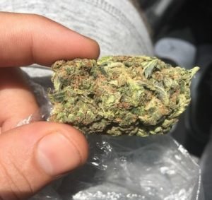 buy cheap marijuana online